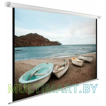 Проекционный экран CACTUS WallExpert 220x138 (CS-PSWE-220x138-WT)